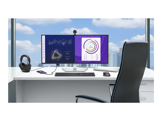 Dell Pro Plus P3425WE — écran 34,1″ incurvé — mise en situation