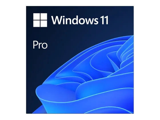 Windows 11 Professionnel — licence complète — vue de face